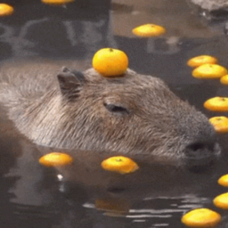 Capybara tycoon