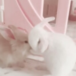 ⋆｡˚୨୧˚｡⋆