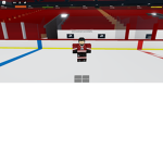 Golden Bears Floorball Team