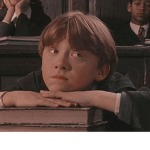 *+ harry potter fan club +*