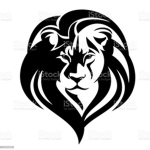 LION 검은사자