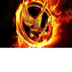 Hunger games fan club :)