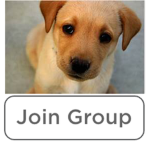 The Omega Dog Group! Group Thumbnail