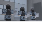 r.r.p (roblox.riot.petrol)