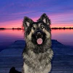 Sunset Obby