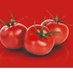 Tomato united