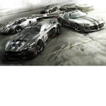 Racing game fans