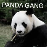 panda gang poz