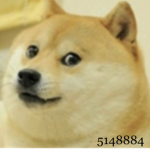 Doge army :D