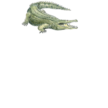 Please donate gamepass