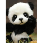 Panda is Dev