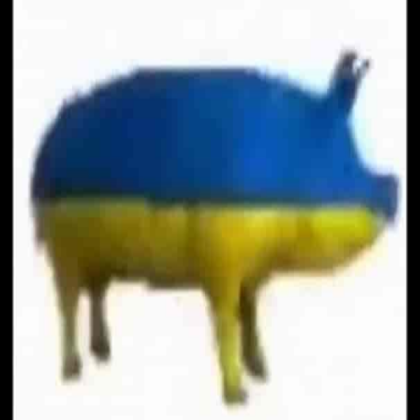 Ukraine Pig dancing meme Roblox decal