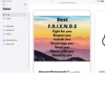 Best Friend’s Matter