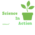 Science In Action