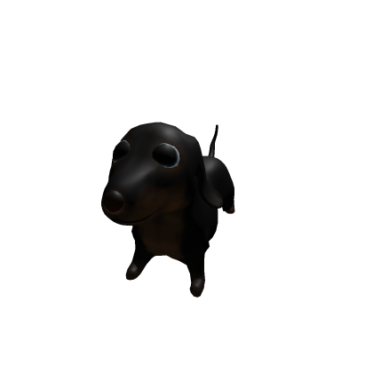 Dachshund Dog