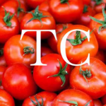 Tomato club :3