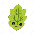 La lechuga potente