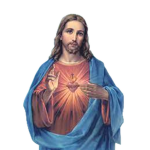 The Church of God and Saviour