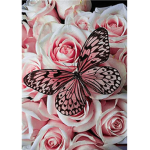 Butterfly Shay blossom squad