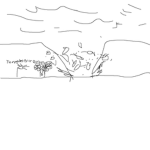 Fun_In a nutshell
