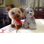 Fun dogs do you need help they are getting killed