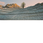 #جيش ديم قيمز