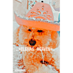 +*elenas heaven*+