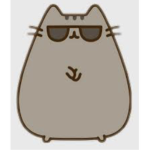 #KittyFansWeLoveCats