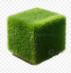 The grass cubes