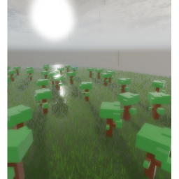 Raining Shin rin
