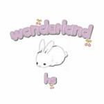 wonderland homestore