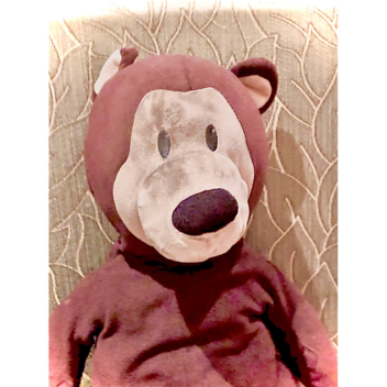 Shop with Bears