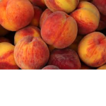 Ripe peaches