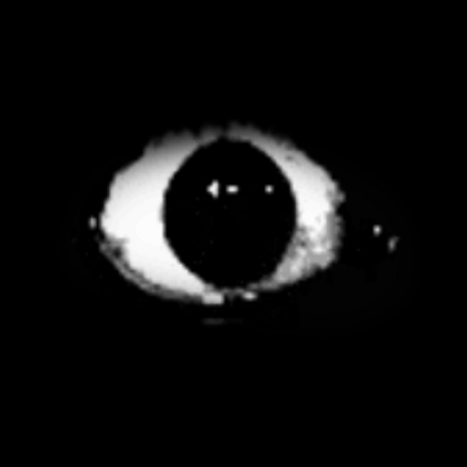 creepy eye lol Roblox decal