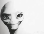 Chat, Chill, feel free to do anything you like.