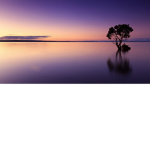 Sunset Atelier
