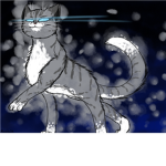 ~DewClan~