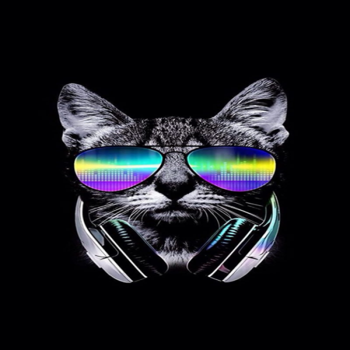 HD-wallpaper-cat-dj-gato-music-musica-planet-sugar Roblox decal