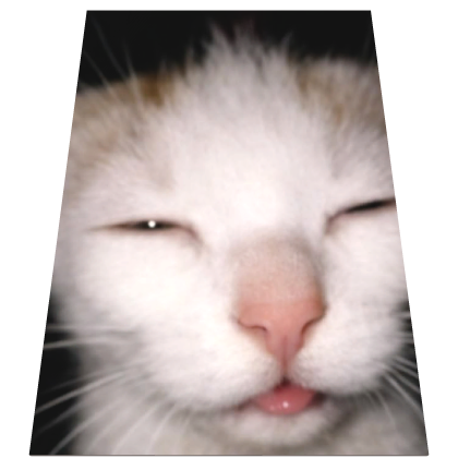Sleepy Cat Meme Cape Roblox item