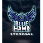 BLUE HAWKS$