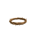 Thorn Crown