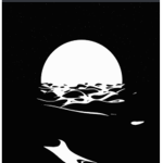 Moon light Store - Community NL/BE