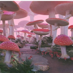 ~natural mushrooms~