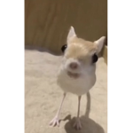 mvrgies <3