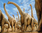 Sauropoda III