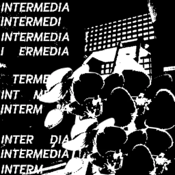 Intermedia