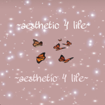 ~aesthetic 4 life~