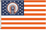 New Bronze Republic
