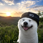 93s