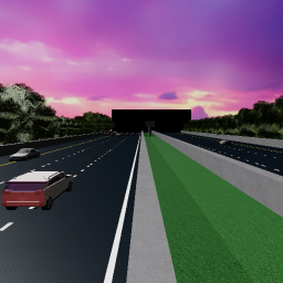 Doggys Highway!